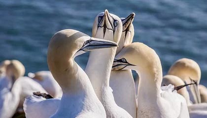 敢于宣言的夜色营销：S货C死你叫得大声点