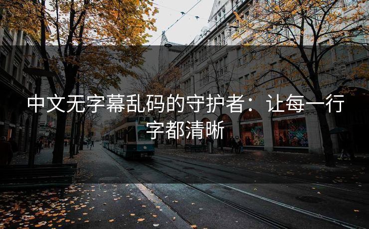 中文无字幕乱码的守护者：让每一行字都清晰